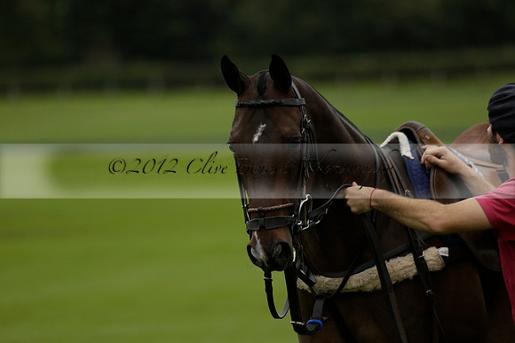 Four Quarters Black (black) v Clashleigh (red) in the Autumn Cup subsidiary final polo match on Ambersham 2 at Cowdray Park Polo Club on Sunday 22 September 2013 www.polopictures.co.uk