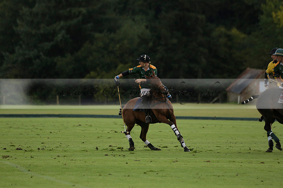 Maiz Dulce (green) v Las Esterellas (yellow) in the PSI Final polo match at Cowdray Park Polo Club on Ambersham 2 on Sunday 2013.09.08 www.polopictures.co.uk
