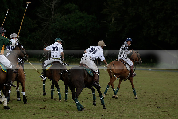 The Blue Jackets Cup polo match played between Maize Dulce (green) vs Home Farm (white) At the New Forest Polo Club on Sunday 18 August 2013