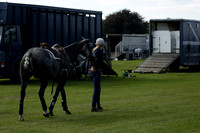 Four Quarters Black (black) v BHC (red) in a Autumn Cup polo match on Ambersham 2 at Cowdray Park Polo Club on Friday 20 September 2013 www.polopictures.co.uk