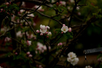 _CAB0013