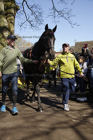 Leighton Aspell leads Many Clouds_CB_6207