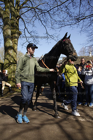 Leighton Aspell leads Many Clouds_CB_6199