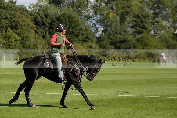 Aryana (black) v Shoreline (yellow) in a Farewell Cup polo match played on Ambersham 5 at Cowdray Park Polo Club on Wednesday 18 September 2013. www.polopictures.co.uk