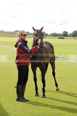 Maiz Dulce (green) v Las Esterellas (yellow) in the PSI Final polo match at Cowdray Park Polo Club on Ambersham 2 on Sunday 2013.09.08 www.polopictures.co.uk