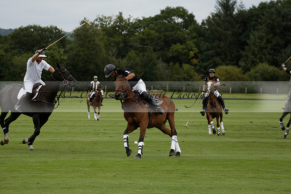Aryana (black) v Home Farm (white) in a Farewell Cup polo match played on Ambersham 5 at Cowdray Park Polo Club on Wednesday 2013.09.11 www.polopictures.co.uk