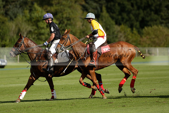 Aryana (black) v Shoreline (yellow) in a Farewell Cup polo match played on Ambersham 5 at Cowdray Park Polo Club on Wednesday 18 September 2013. www.polopictures.co.uk