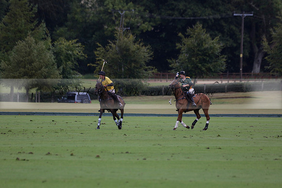 Maiz Dulce (green) v Las Esterellas (yellow) in the PSI Final polo match at Cowdray Park Polo Club on Ambersham 2 on Sunday 2013.09.08 www.polopictures.co.uk