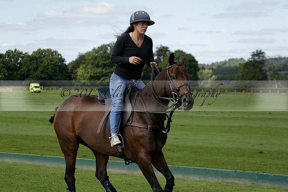 Four Quarters Black (black) v BHC (red) in a Autumn Cup polo match on Ambersham 2 at Cowdray Park Polo Club on Friday 20 September 2013 www.polopictures.co.uk