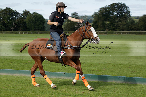 Four Quarters Black (black) v BHC (red) in a Autumn Cup polo match on Ambersham 2 at Cowdray Park Polo Club on Friday 20 September 2013 www.polopictures.co.uk