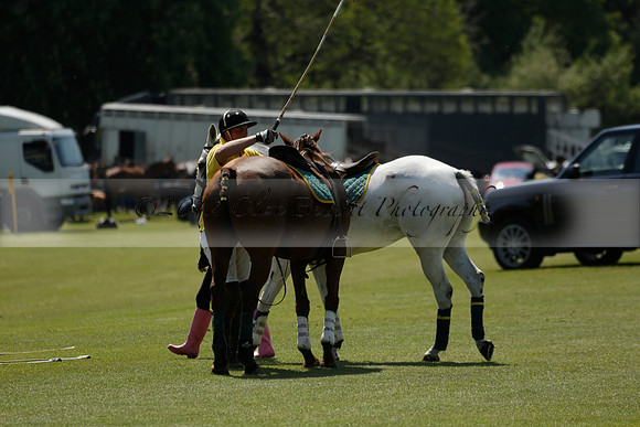 Maiz Dulce v Pluma Negra in a Jubilee 6 Goal Polo match 2013.05.27