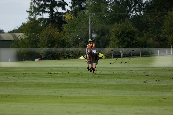 Four Quarters Black (black) v BHC (red) in a Autumn Cup polo match on Ambersham 2 at Cowdray Park Polo Club on Friday 20 September 2013 www.polopictures.co.uk