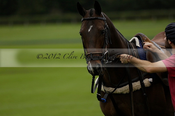 Four Quarters Black (black) v Clashleigh (red) in the Autumn Cup subsidiary final polo match on Ambersham 2 at Cowdray Park Polo Club on Sunday 22 September 2013 www.polopictures.co.uk