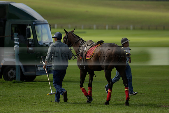 Four Quarters Black (black) v BHC (red) in a Autumn Cup polo match on Ambersham 2 at Cowdray Park Polo Club on Friday 20 September 2013 www.polopictures.co.uk