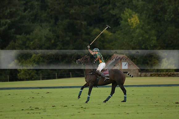 Maiz Dulce (green) v Las Esterellas (yellow) in the PSI Final polo match at Cowdray Park Polo Club on Ambersham 2 on Sunday 2013.09.08 www.polopictures.co.uk