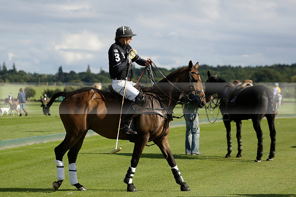 Aryana (black) v Shoreline (yellow) in a Farewell Cup polo match played on Ambersham 5 at Cowdray Park Polo Club on Wednesday 18 September 2013. www.polopictures.co.uk