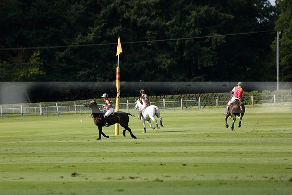 Four Quarters Black (black) v BHC (red) in a Autumn Cup polo match on Ambersham 2 at Cowdray Park Polo Club on Friday 20 September 2013 www.polopictures.co.uk