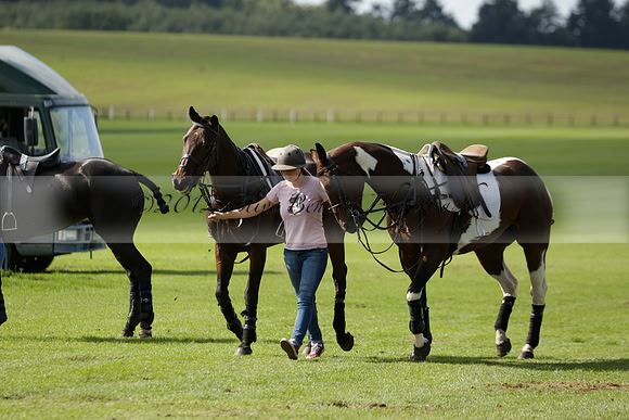 Four Quarters Black (black) v BHC (red) in a Autumn Cup polo match on Ambersham 2 at Cowdray Park Polo Club on Friday 20 September 2013 www.polopictures.co.uk