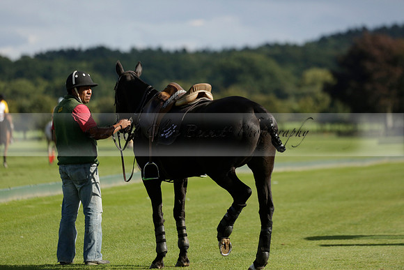 Aryana (black) v Shoreline (yellow) in a Farewell Cup polo match played on Ambersham 5 at Cowdray Park Polo Club on Wednesday 18 September 2013. www.polopictures.co.uk