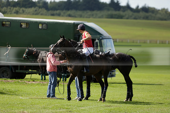 Four Quarters Black (black) v BHC (red) in a Autumn Cup polo match on Ambersham 2 at Cowdray Park Polo Club on Friday 20 September 2013 www.polopictures.co.uk