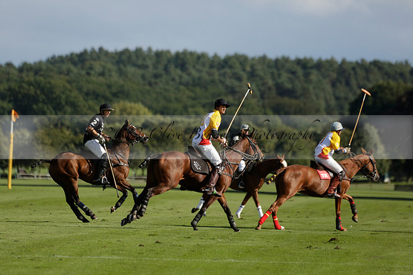 Aryana (black) v Shoreline (yellow) in a Farewell Cup polo match played on Ambersham 5 at Cowdray Park Polo Club on Wednesday 18 September 2013. www.polopictures.co.uk