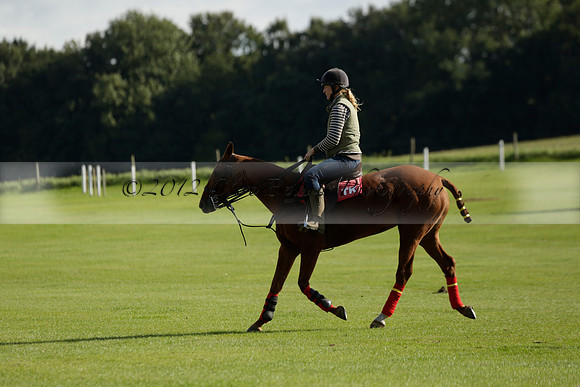 Aryana (black) v Shoreline (yellow) in a Farewell Cup polo match played on Ambersham 5 at Cowdray Park Polo Club on Wednesday 18 September 2013. www.polopictures.co.uk