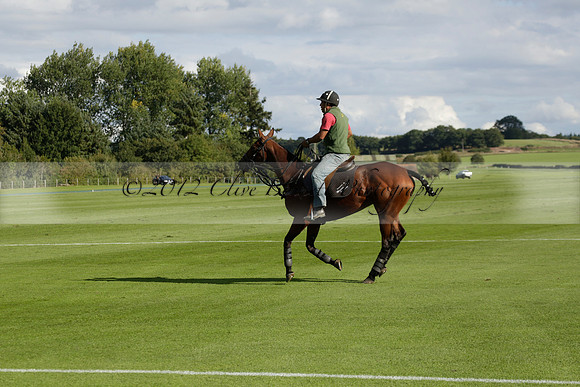 Aryana (black) v Shoreline (yellow) in a Farewell Cup polo match played on Ambersham 5 at Cowdray Park Polo Club on Wednesday 18 September 2013. www.polopictures.co.uk