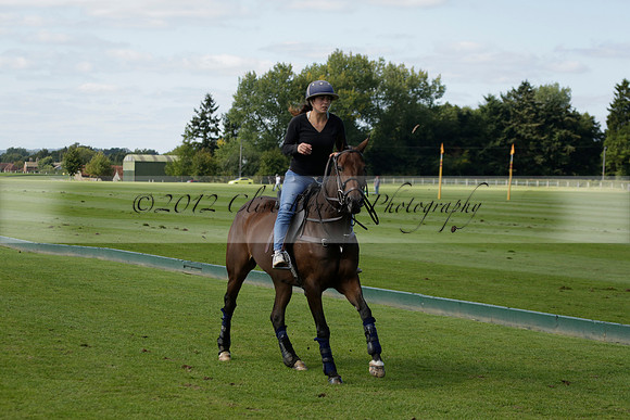 Four Quarters Black (black) v BHC (red) in a Autumn Cup polo match on Ambersham 2 at Cowdray Park Polo Club on Friday 20 September 2013 www.polopictures.co.uk