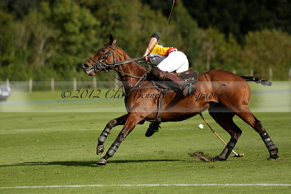 Aryana (black) v Shoreline (yellow) in a Farewell Cup polo match played on Ambersham 5 at Cowdray Park Polo Club on Wednesday 18 September 2013. www.polopictures.co.uk