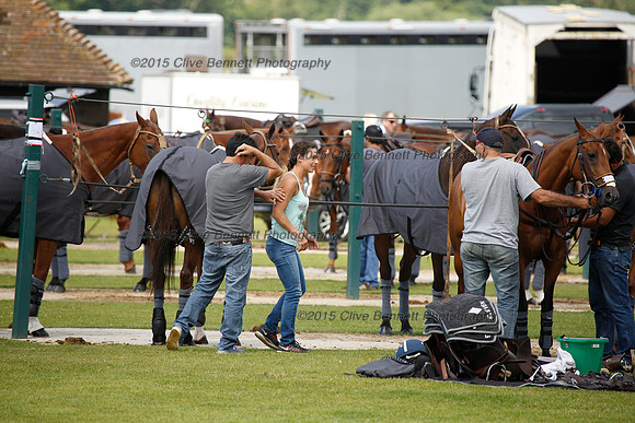 _CB_6986