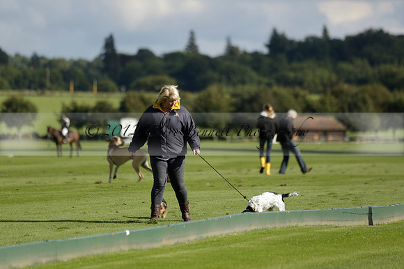 Aryana (black) v Shoreline (yellow) in a Farewell Cup polo match played on Ambersham 5 at Cowdray Park Polo Club on Wednesday 18 September 2013. www.polopictures.co.uk