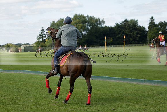 Four Quarters Black (black) v BHC (red) in a Autumn Cup polo match on Ambersham 2 at Cowdray Park Polo Club on Friday 20 September 2013 www.polopictures.co.uk