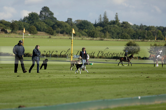 Aryana (black) v Shoreline (yellow) in a Farewell Cup polo match played on Ambersham 5 at Cowdray Park Polo Club on Wednesday 18 September 2013. www.polopictures.co.uk