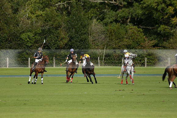 Aryana (black) v Shoreline (yellow) in a Farewell Cup polo match played on Ambersham 5 at Cowdray Park Polo Club on Wednesday 18 September 2013. www.polopictures.co.uk
