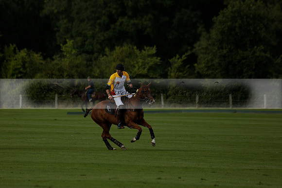 Aryana (black) v Shoreline (yellow) in a Farewell Cup polo match played on Ambersham 5 at Cowdray Park Polo Club on Wednesday 18 September 2013. www.polopictures.co.uk