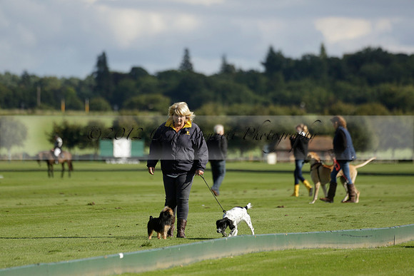 Aryana (black) v Shoreline (yellow) in a Farewell Cup polo match played on Ambersham 5 at Cowdray Park Polo Club on Wednesday 18 September 2013. www.polopictures.co.uk