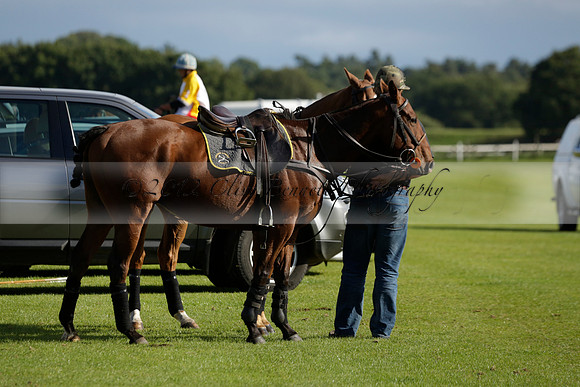 Aryana (black) v Shoreline (yellow) in a Farewell Cup polo match played on Ambersham 5 at Cowdray Park Polo Club on Wednesday 18 September 2013. www.polopictures.co.uk