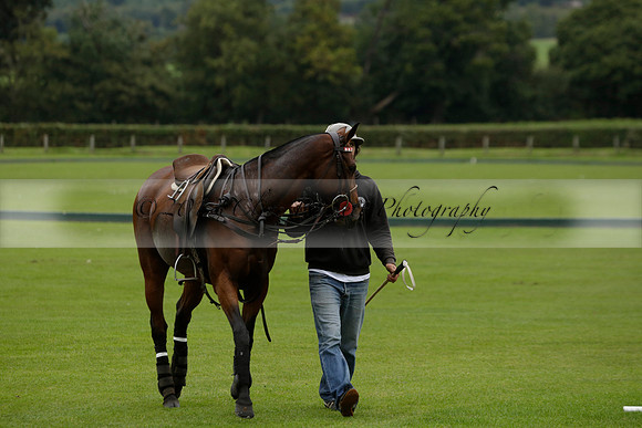 Four Quarters Black (black) v Clashleigh (red) in the Autumn Cup subsidiary final polo match on Ambersham 2 at Cowdray Park Polo Club on Sunday 22 September 2013 www.polopictures.co.uk