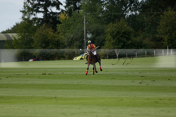 Four Quarters Black (black) v BHC (red) in a Autumn Cup polo match on Ambersham 2 at Cowdray Park Polo Club on Friday 20 September 2013 www.polopictures.co.uk