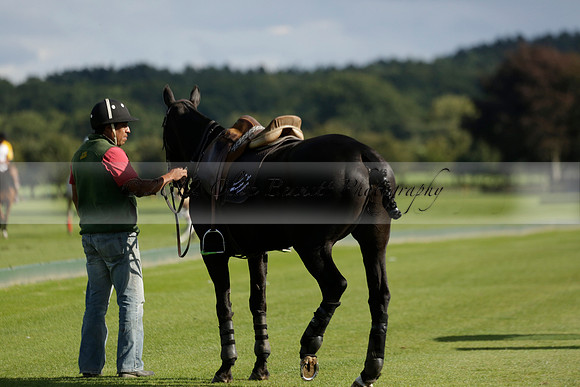Aryana (black) v Shoreline (yellow) in a Farewell Cup polo match played on Ambersham 5 at Cowdray Park Polo Club on Wednesday 18 September 2013. www.polopictures.co.uk