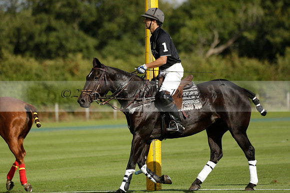 Aryana (black) v Shoreline (yellow) in a Farewell Cup polo match played on Ambersham 5 at Cowdray Park Polo Club on Wednesday 18 September 2013. www.polopictures.co.uk
