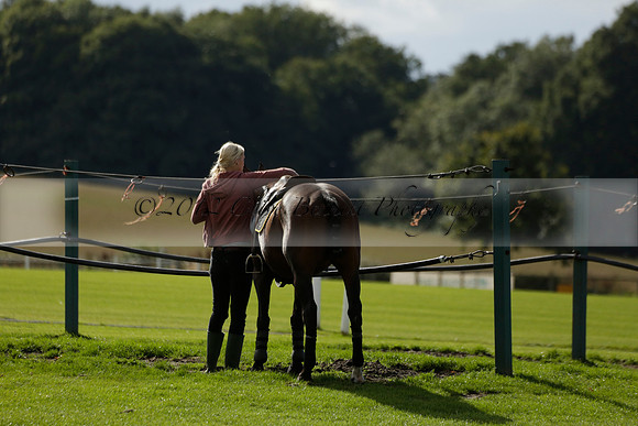 Aryana (black) v Shoreline (yellow) in a Farewell Cup polo match played on Ambersham 5 at Cowdray Park Polo Club on Wednesday 18 September 2013. www.polopictures.co.uk