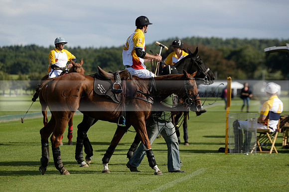 Aryana (black) v Shoreline (yellow) in a Farewell Cup polo match played on Ambersham 5 at Cowdray Park Polo Club on Wednesday 18 September 2013. www.polopictures.co.uk