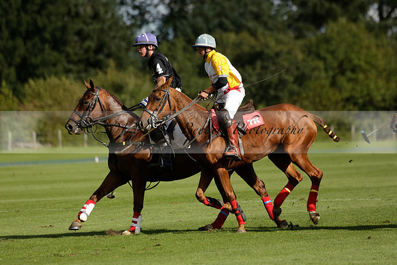 Aryana (black) v Shoreline (yellow) in a Farewell Cup polo match played on Ambersham 5 at Cowdray Park Polo Club on Wednesday 18 September 2013. www.polopictures.co.uk