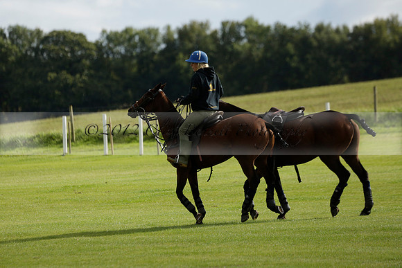 Aryana (black) v Shoreline (yellow) in a Farewell Cup polo match played on Ambersham 5 at Cowdray Park Polo Club on Wednesday 18 September 2013. www.polopictures.co.uk