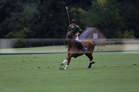 Maiz Dulce (green) v Las Esterellas (yellow) in the PSI Final polo match at Cowdray Park Polo Club on Ambersham 2 on Sunday 2013.09.08 www.polopictures.co.uk