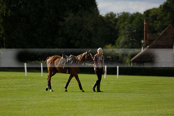Aryana (black) v Shoreline (yellow) in a Farewell Cup polo match played on Ambersham 5 at Cowdray Park Polo Club on Wednesday 18 September 2013. www.polopictures.co.uk
