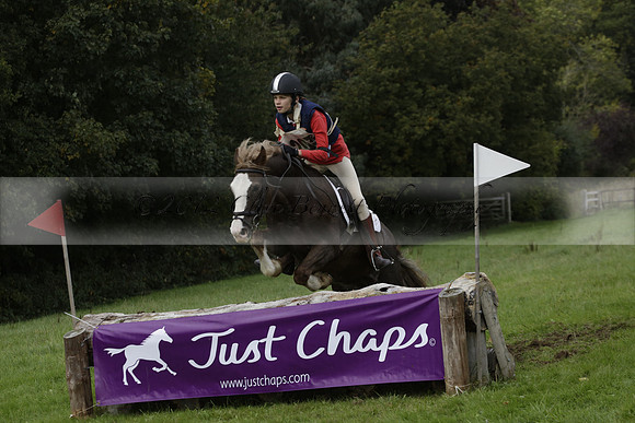 Chiddingfold, Leconfield and Cowdray Hunt, Hunter Trials at Iping on Sunday 20 October 2013. 2013.10.20 www.polopictures.co.uk