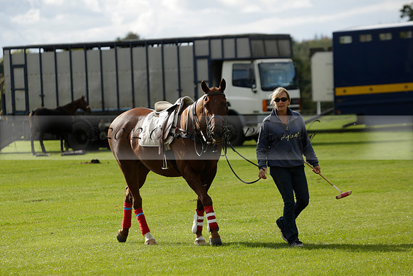 Aryana (black) v Shoreline (yellow) in a Farewell Cup polo match played on Ambersham 5 at Cowdray Park Polo Club on Wednesday 18 September 2013. www.polopictures.co.uk