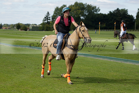 Four Quarters Black (black) v BHC (red) in a Autumn Cup polo match on Ambersham 2 at Cowdray Park Polo Club on Friday 20 September 2013 www.polopictures.co.uk